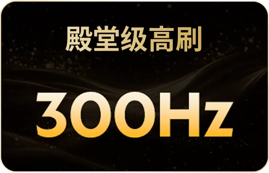 殿堂级高刷 300Hz
