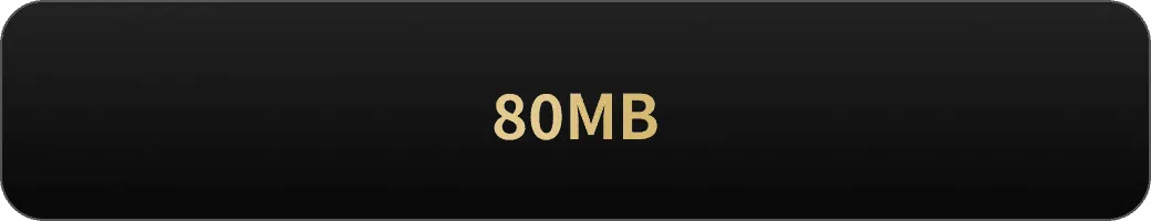 80MB